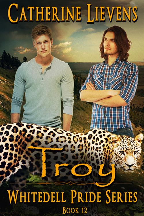 Cover of the book Troy by Catherine Lievens, eXtasy Books Inc