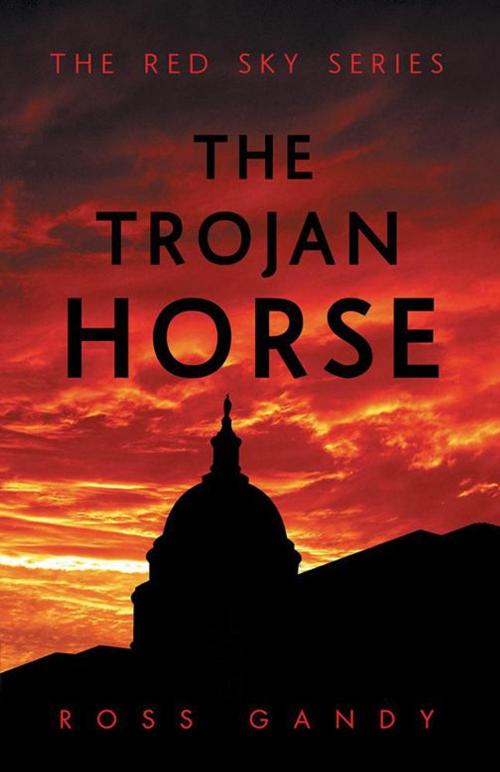 Cover of the book The Trojan Horse by Ross Gandy, LifeRich Publishing