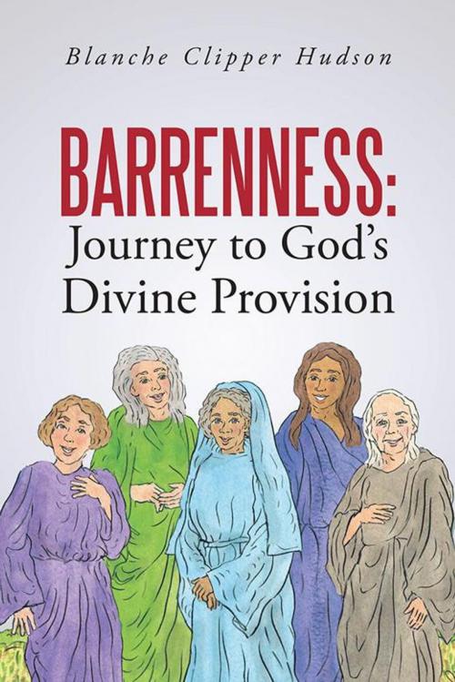 Cover of the book Barrenness: Journey to God's Divine Provision by Blanche Clipper Hudson, WestBow Press