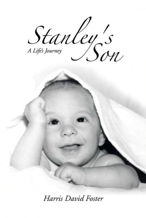 Cover of the book Stanley's Son by Harris David Foster, iUniverse