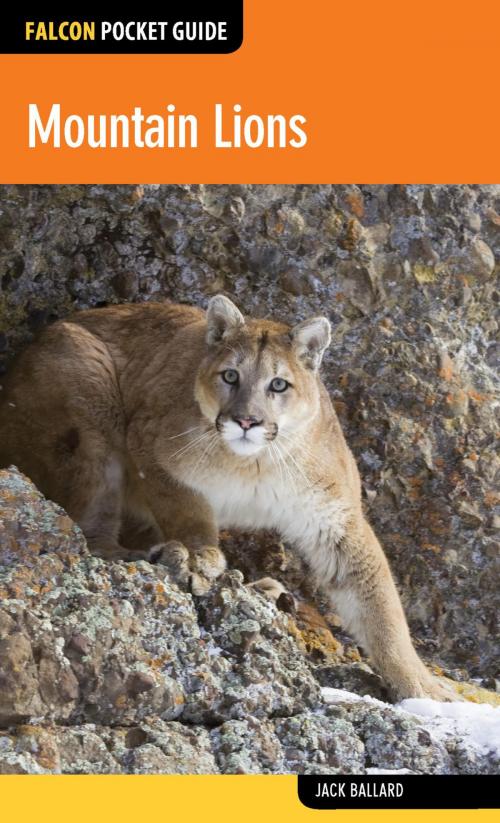 Cover of the book Mountain Lions by Jack Ballard, Falcon Guides