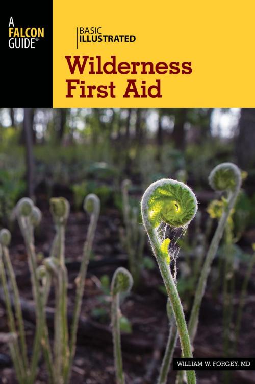 Cover of the book Basic Illustrated Wilderness First Aid by William W. Forgey M.D., Falcon Guides