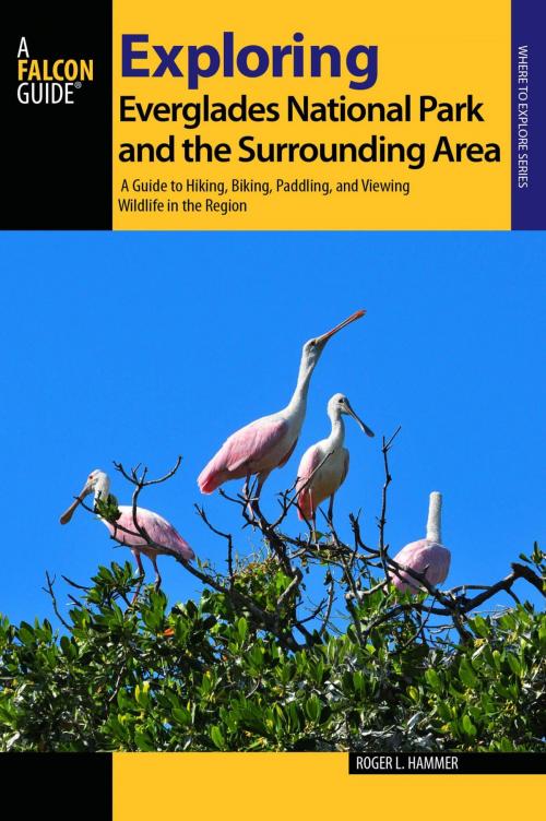 Cover of the book Exploring Everglades National Park and the Surrounding Area by Roger L. Hammer, Falcon Guides