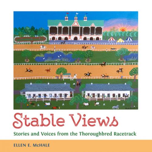 Cover of the book Stable Views by Ellen E. McHale, University Press of Mississippi