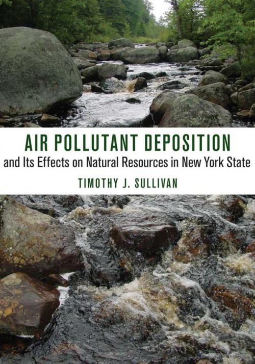 Cover of the book Air Pollutant Deposition and Its Effects on Natural Resources in New York State by Timothy J. Sullivan, Cornell University Press