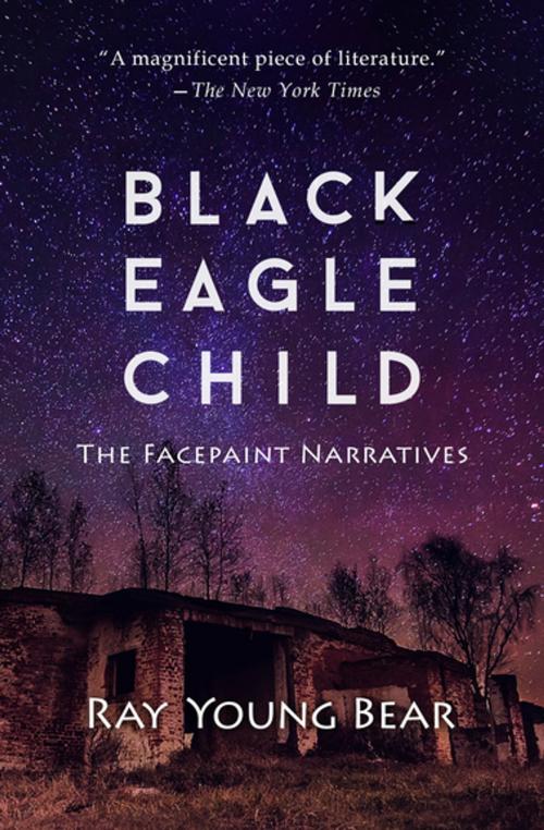 Cover of the book Black Eagle Child by Ray Young Bear, Open Road Media