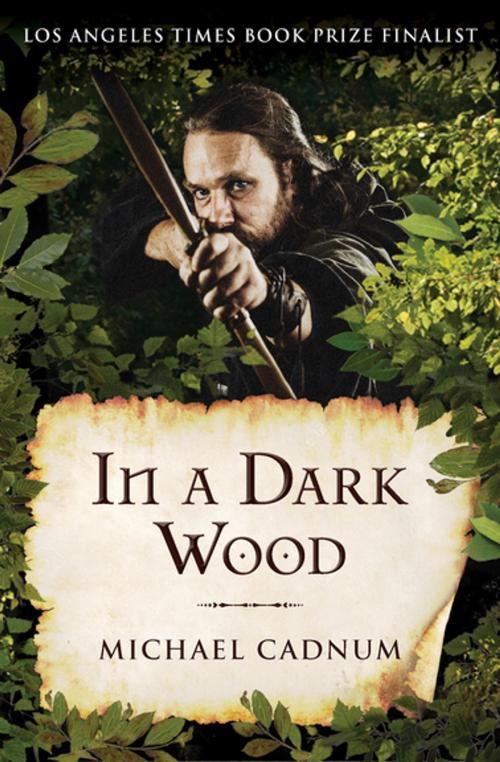 Cover of the book In a Dark Wood by Michael Cadnum, Open Road Media