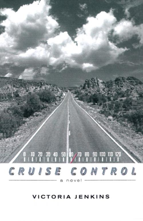 Cover of the book Cruise Control by Victoria Jenkins, The Permanent Press (ORD)