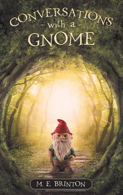 Cover of the book Conversations with a Gnome by M.E. Brinton, Balboa Press