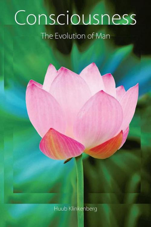Cover of the book Consciousness by Huub Klinkenberg, AuthorHouse
