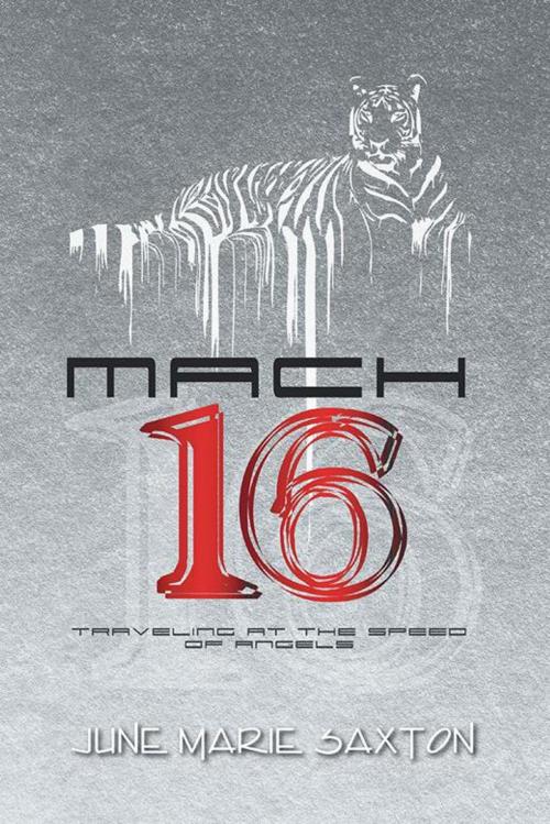 Cover of the book Mach 16 by June Marie Saxton, AuthorHouse