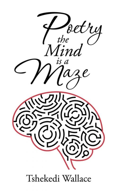 Cover of the book Poetry, the Mind Is a Maze by Tshekedi Wallace, AuthorHouse UK