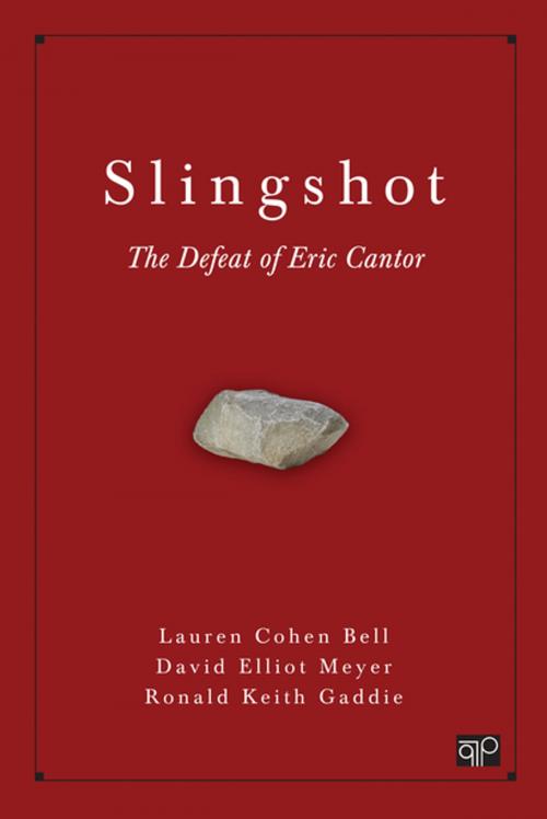 Cover of the book Slingshot by Lauren Cohen Bell, David Elliot Meyer, Ronald Keith Gaddie, SAGE Publications