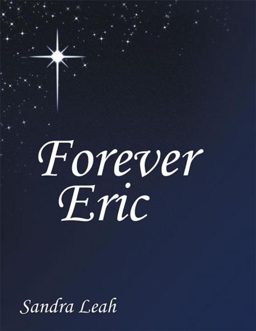 Cover of the book Forever Eric by Sandra Leah, WestBow Press