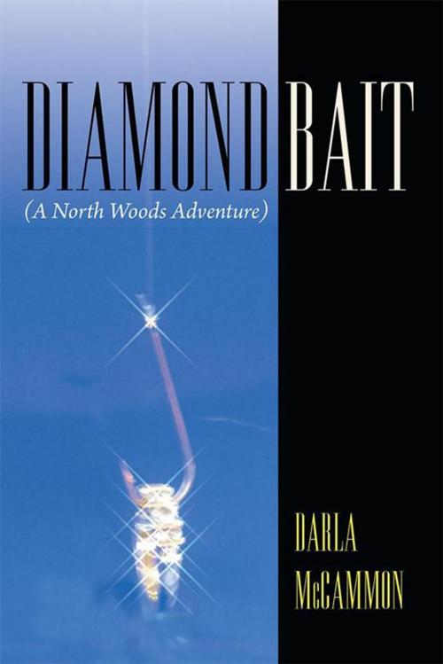 Cover of the book Diamond Bait by Darla McCammon, WestBow Press