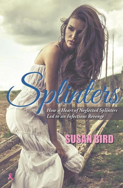 Cover of the book Splinters by Susan Bird, Xlibris US