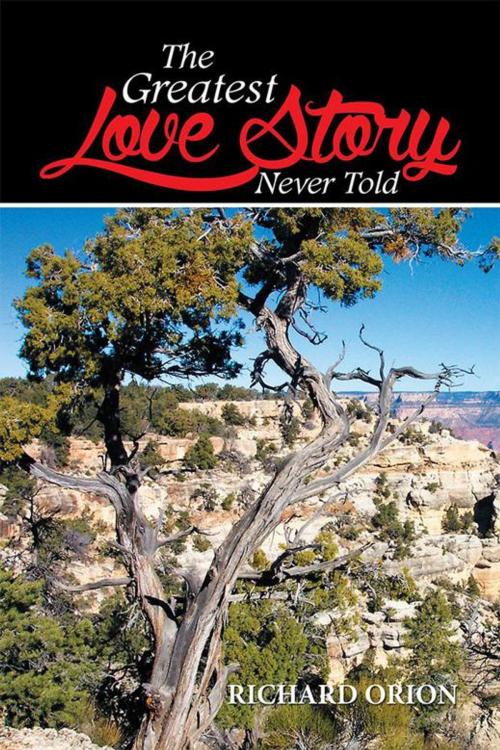 Cover of the book The Greatest Love Story Never Told by Richard Orion, Xlibris US