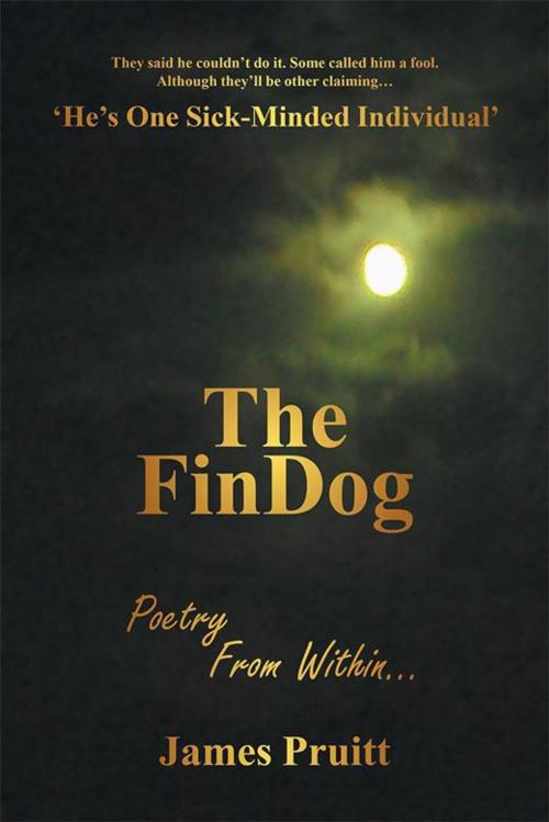 Cover of the book The Findog by James Pruitt, Xlibris US