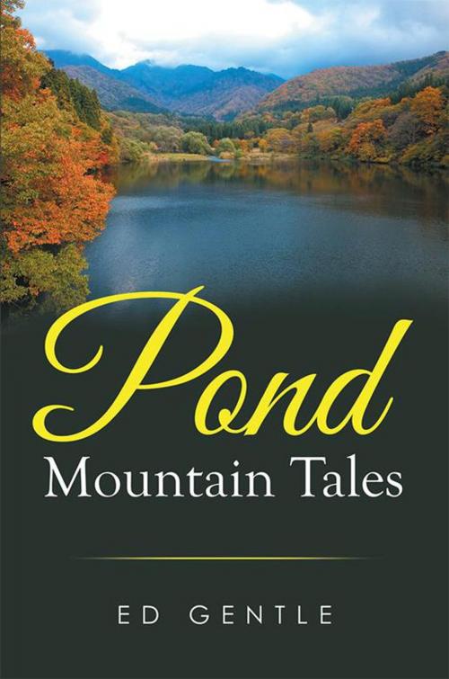 Cover of the book Pond Mountain Tales by Ed Gentle, Xlibris US