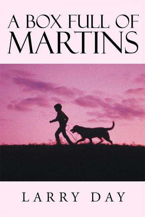 Cover of the book A Box Full of Martins by Larry Day, Xlibris US