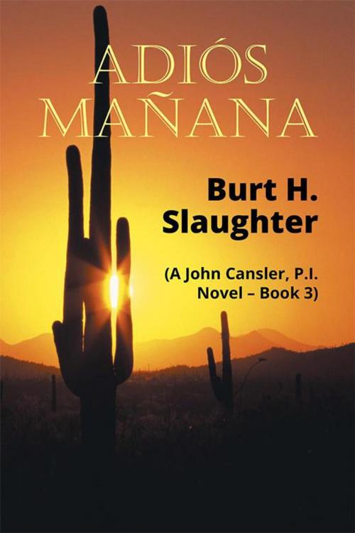 Cover of the book Adiós Mañana by Burt H. Slaughter, Xlibris US