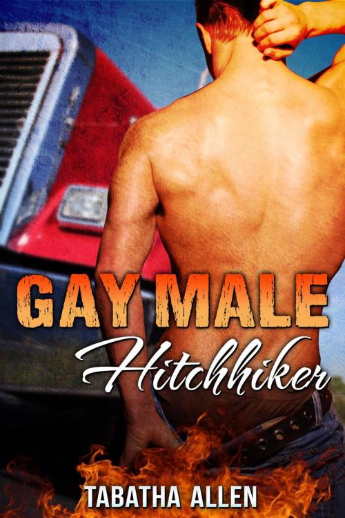 Cover of the book Gay Male Hitchhiker by Tabatha Allen, Tabatha Allen