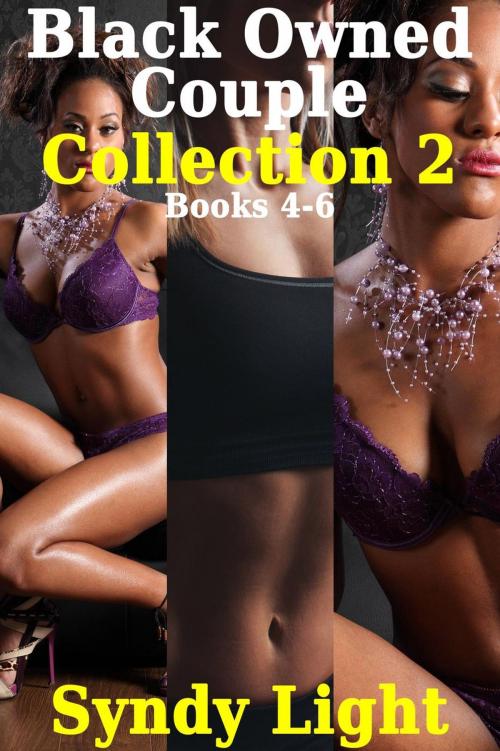 Cover of the book Black Owned Couple Collection 2, Books 4-6 by Syndy Light, Deadlier Than the Male Publications