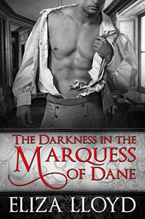 Cover of the book The Darkness in the Marquess of Dane by Eliza Lloyd, Eliza Lloyd