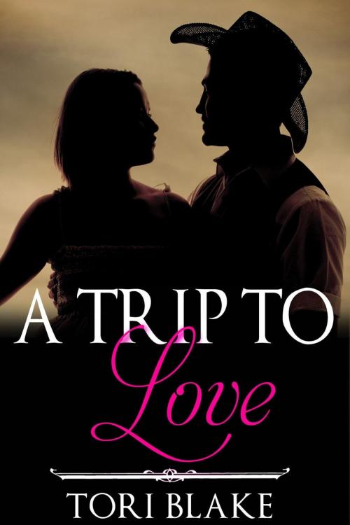 Cover of the book A Trip To Love by Tori Blake, Mahogany Publications