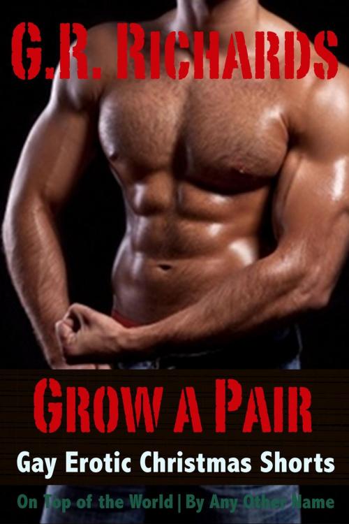 Cover of the book Grow A Pair: Gay Erotic Christmas Shorts by G.R. Richards, Great Gay Fiction