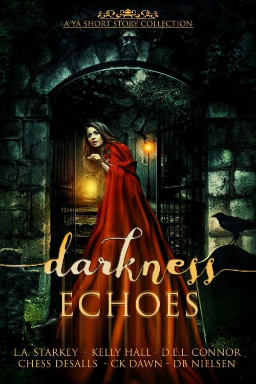 Cover of the book Darkness Echoes by L.A. Starkey, Chess Desalls, D.E.L. Connor, DB Nielsen, CK Dawn, Kelly Hall, BrixBaxter Publishing