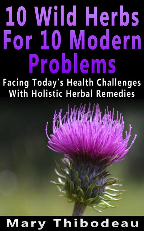 Cover of the book Ten Wild Herbs For Ten Modern Problems by Mary Thibodeau, Mary Thibodeau