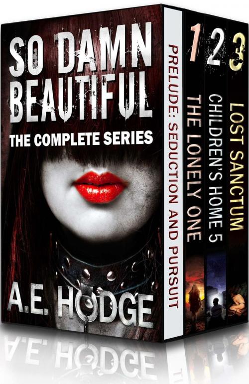 Cover of the book So Damn Beautiful: The Complete Series by A.E. Hodge, Fiction Fugitive Select