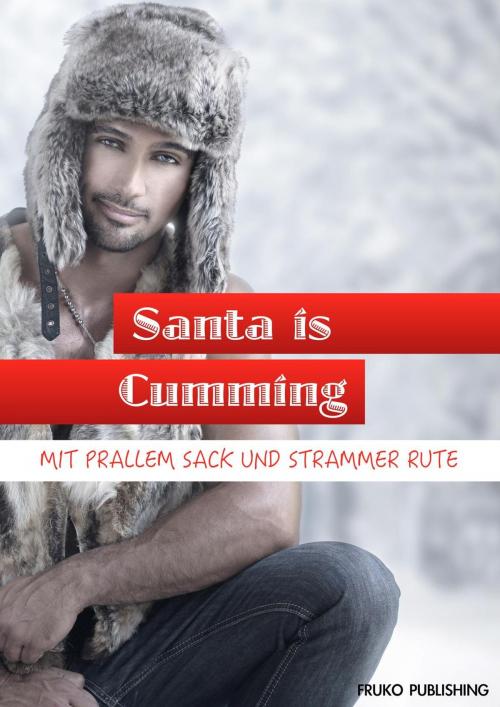 Cover of the book Santa is Cumming - Mit prallem Sack & strammer Rute! by A. Sander, D. Castro, u.a., FRUKO Publishing