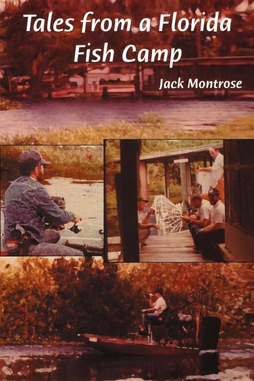 Cover of the book Tales from a Florida Fish Camp by Jack Montrose, Pineapple Press