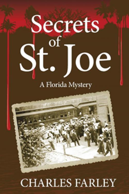 Cover of the book Secrets of St. Joe by Charles Farley, Pineapple Press