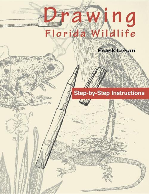 Cover of the book Drawing Florida Wildlife by Frank Lohan, Pineapple Press
