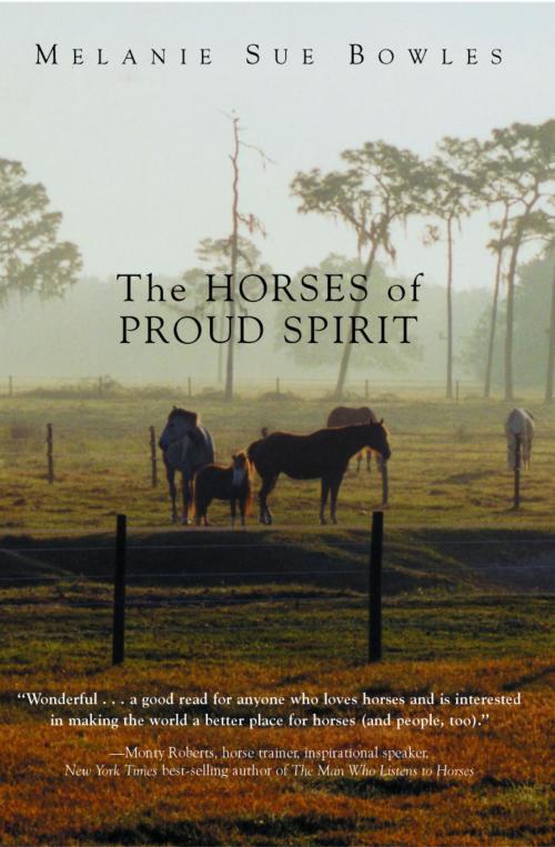 Cover of the book The Horses of Proud Spirit by Melanie Sue Bowles, Pineapple Press