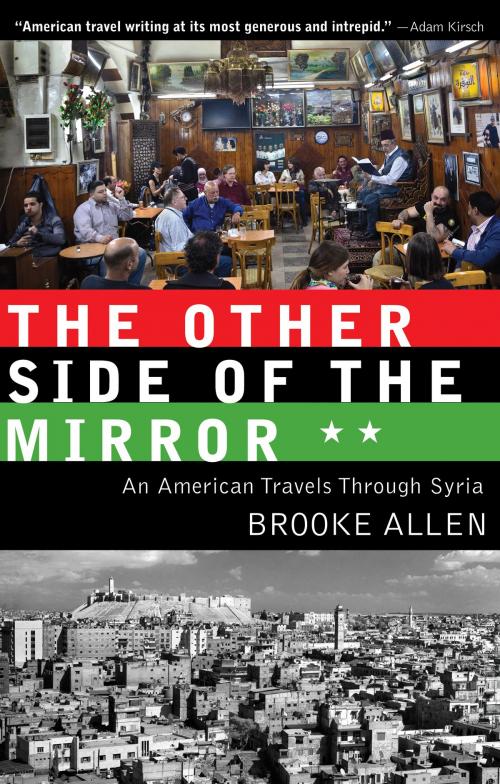 Cover of the book The Other Side of the Mirror by Brooke Allen, Paul Dry Books