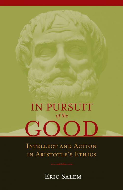 Cover of the book In Pursuit of the Good by Eric Salem, Paul Dry Books