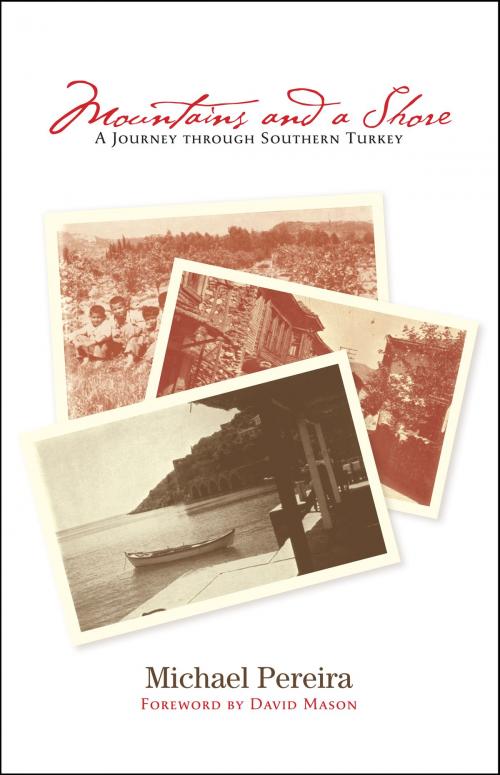 Cover of the book Mountains and a Shore by Michael Pereira, David Mason, Paul Dry Books
