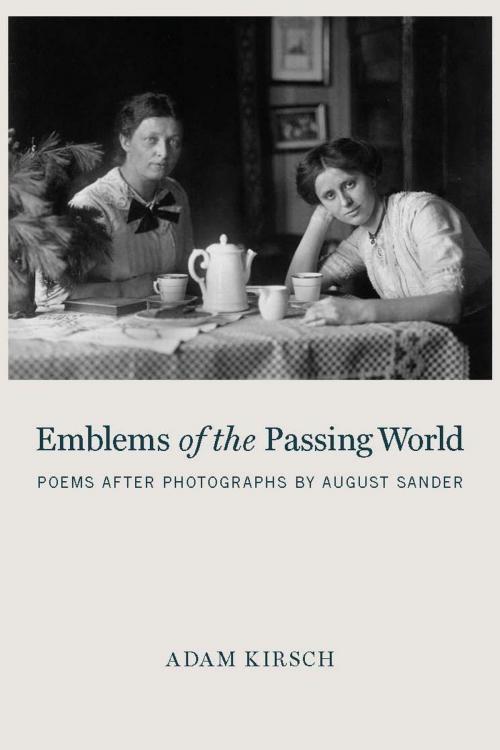 Cover of the book Emblems of the Passing World by Adam Kirsch, Other Press