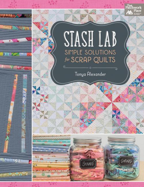 Cover of the book Stash Lab by Tonya Alexander, Martingale