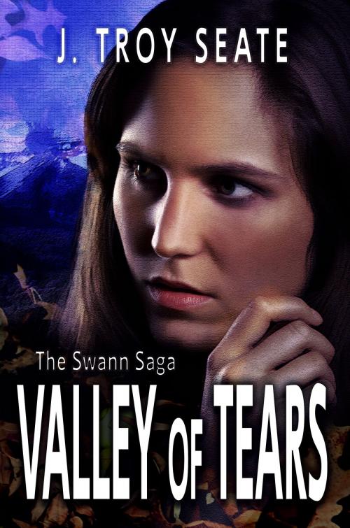 Cover of the book Valley of Tears by J Troy Seate, Melange Books, LLC
