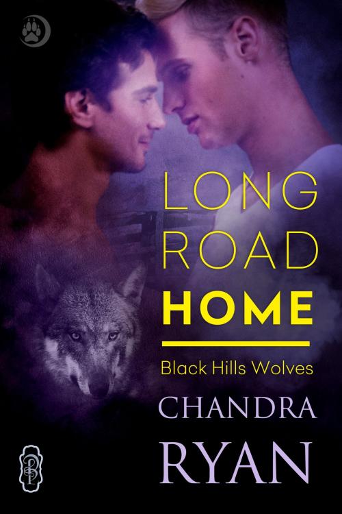 Cover of the book Long Road Home by Chandra Ryan, Decadent Publishing Company