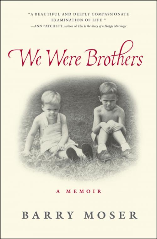 Cover of the book We Were Brothers by Barry Moser, Workman Publishing