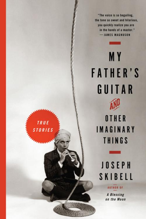 Cover of the book My Father's Guitar and Other Imaginary Things by Joseph Skibell, Algonquin Books