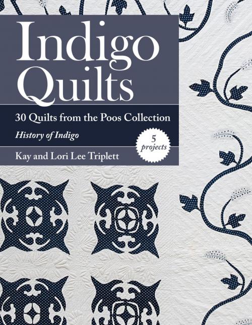 Cover of the book Indigo Quilts by Kay Triplett, Lori Lee Triplett, C&T Publishing