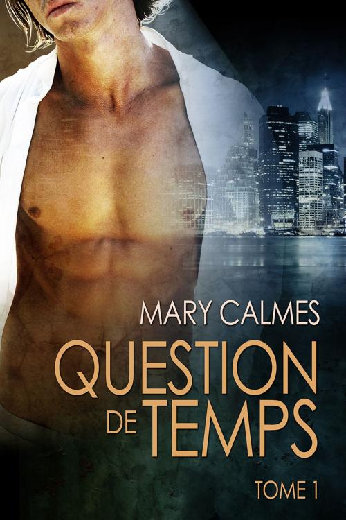 Cover of the book Question de temps tome 1 by Mary Calmes, Dreamspinner Press