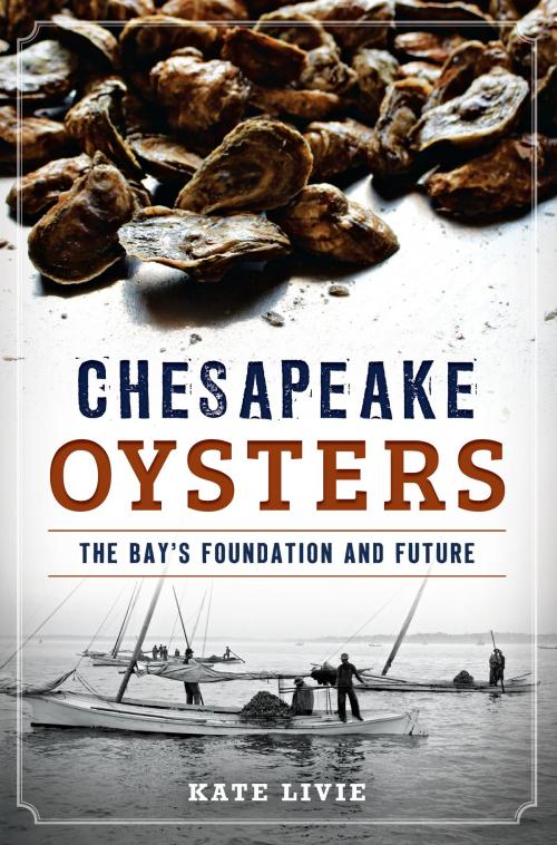 Cover of the book Chesapeake Oysters by Kate Livie, Arcadia Publishing Inc.